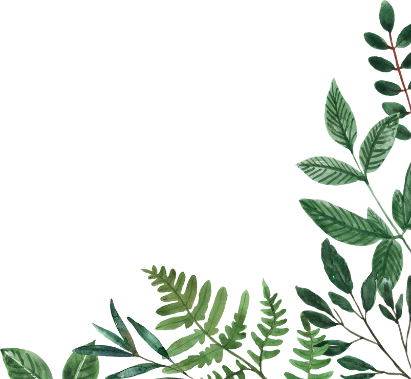 Floral corner border. Watercolor greenery frame